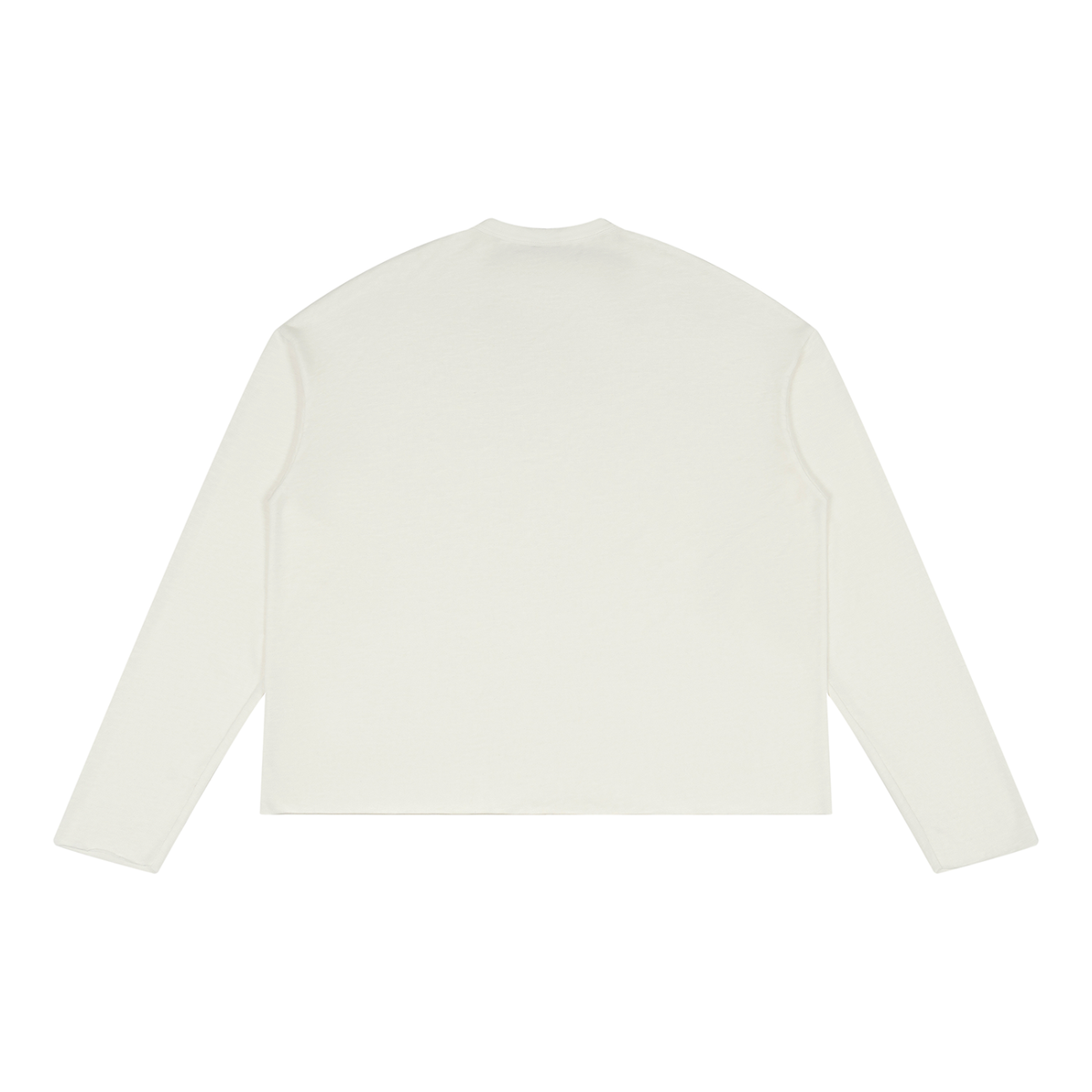 See Through Long Sleeve