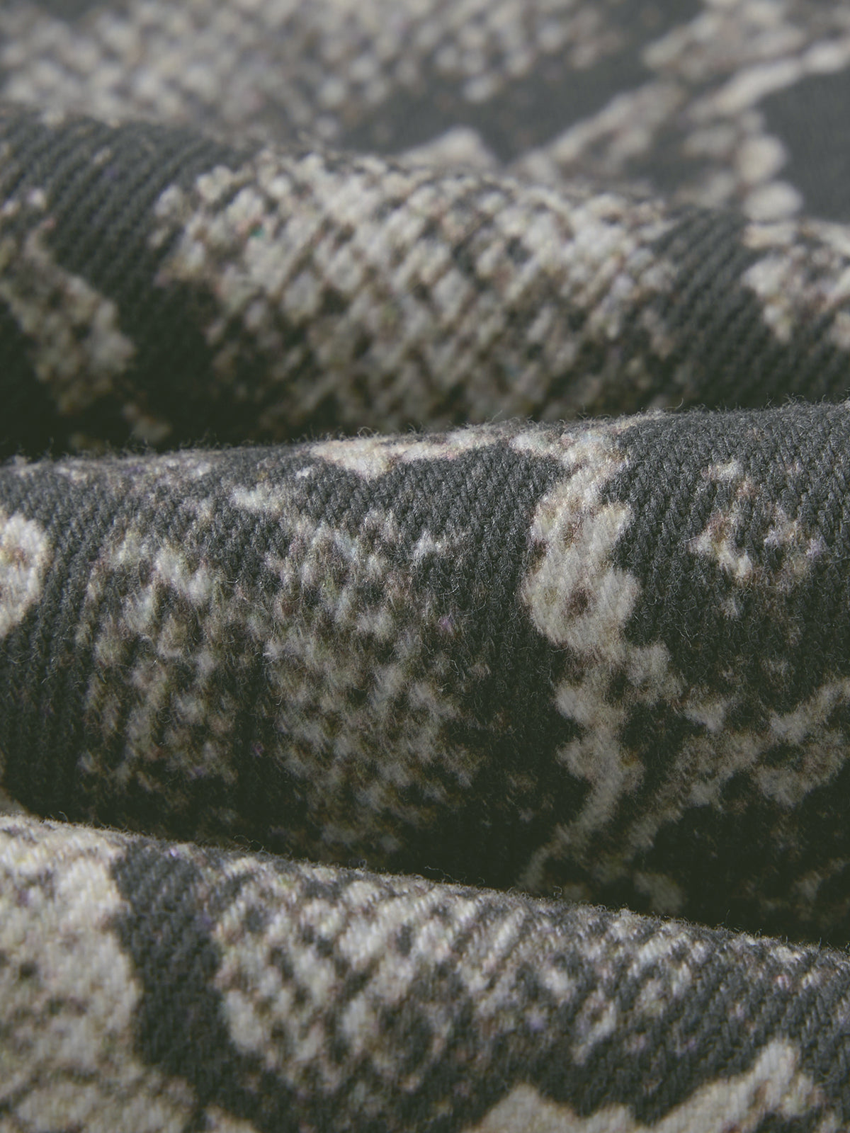 Snake Print Shorts